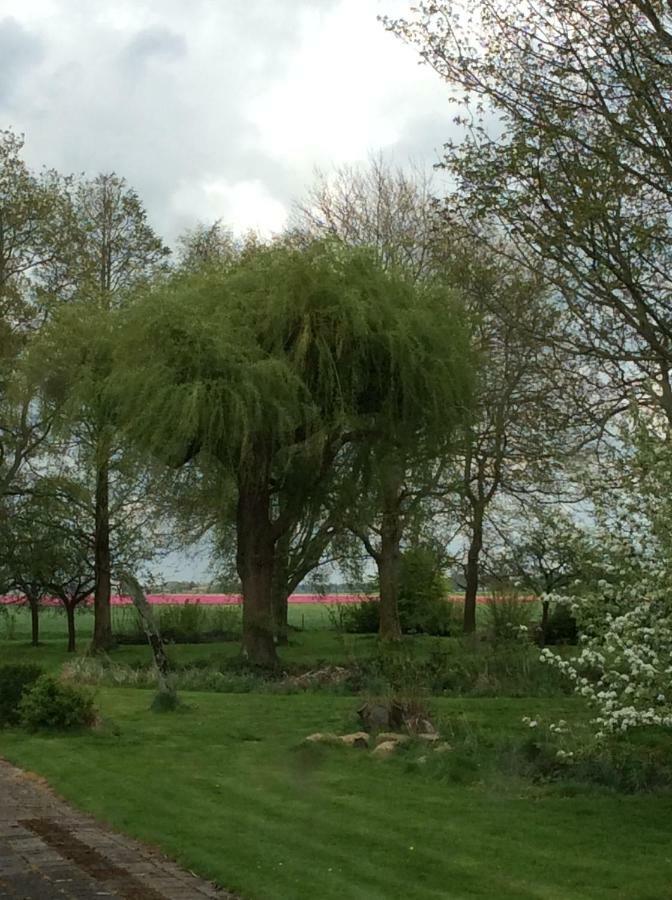 Villa Gouweland Hoogwoud Esterno foto